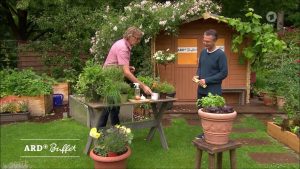 Schädlinge und Pilze natürlich vertreiben