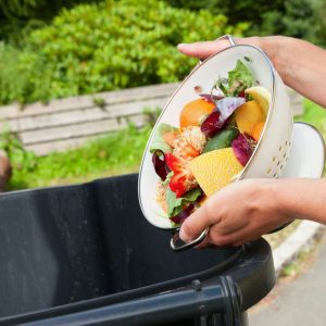TIPP FÜR DIE TONNE!