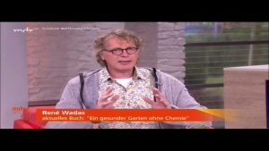 “MDR um vier”: Baumwunden verhindern mit Weißanstrich und versorgen mit Wundverschlussmitteln