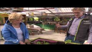 Braunfäule natürlich verhindern