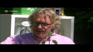 Blattläuse natürlich vertreiben ohne Chemie