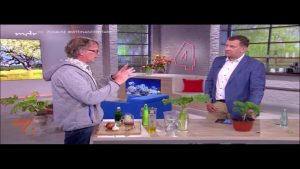 “MDR um 4”: Braunfäule natürlich verhindern