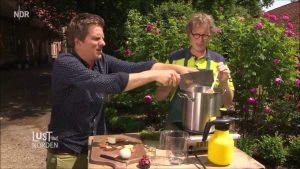 Natürliche Pflege von Rosen: Schutz vor Pilzen und Blattläusen