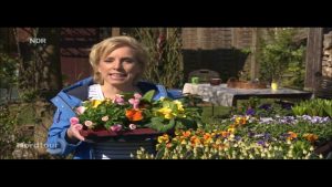 Tipps zur natürlichen Pflanzenpflege