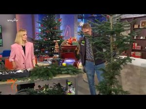 Weihnachtsbaum kaufen, tunen und pflegen