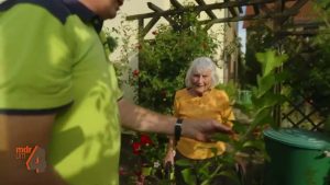 Zitronenbaum selbst ziehen