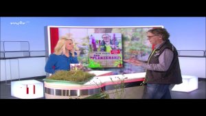 “MDR um 11”: Rasen pflegen im Frühjahr