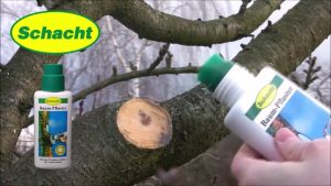 Baumwunden natürlich verschließen – Baum-Pflaster in der praktischen Pinselflasche