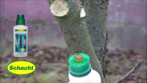 Baumwunden natürlich verschließen – Baumwachs flüssig
