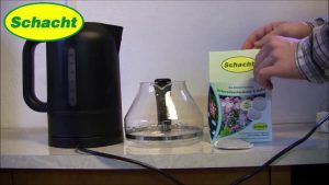 Ackerschachtelhalm Tee zur natürlichen Pflanzenstärkung