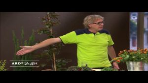 Heimische Alternativen zu Thuja und Co