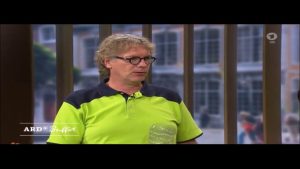 Braune Stellen in Hecken