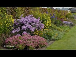 Garten auf heißen Sommer vorbereiten