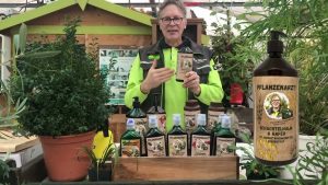 Produkt gegen Pilzkrankheiten vom Pflanzenarzt