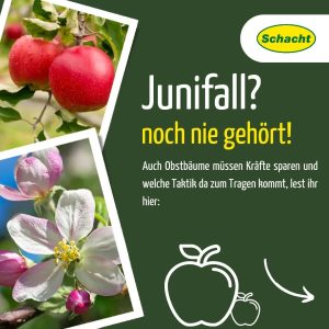 Junifall