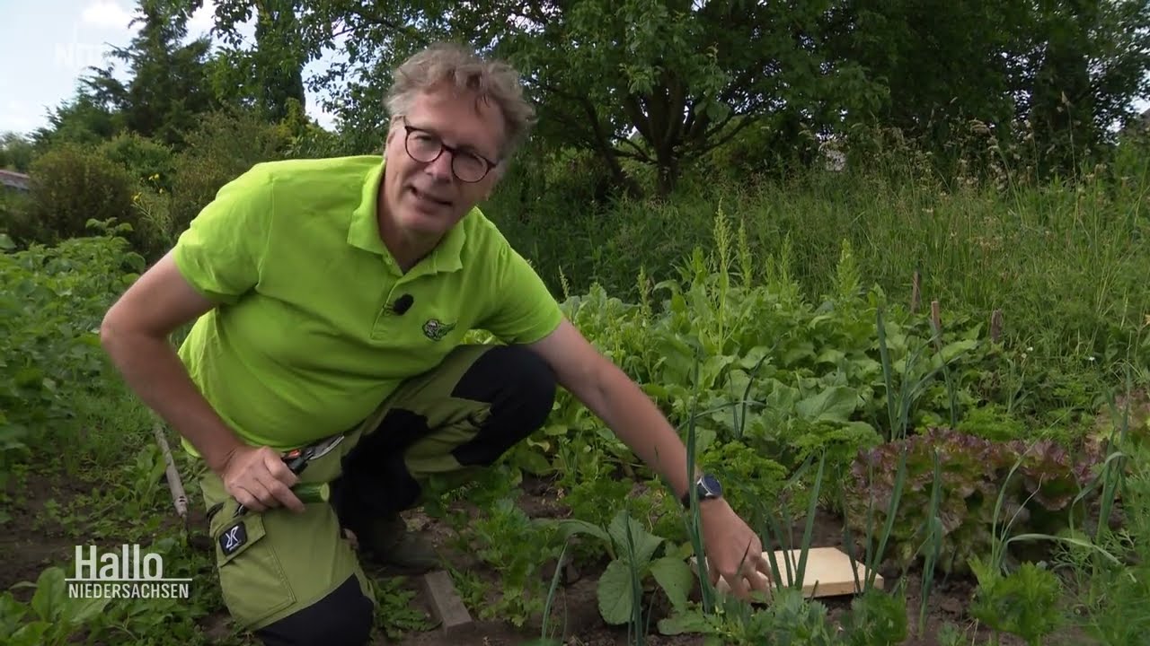 Schnecken im Garten ohne Chemie vertreiben: 4 Tipps vom Pflanzenarzt