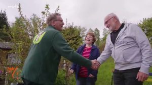 Flechten am Apfelbaum