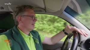 Wacholder mit Stresssymptomen