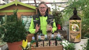 Rainfarn und Wermut zur Schädlingsabwehr