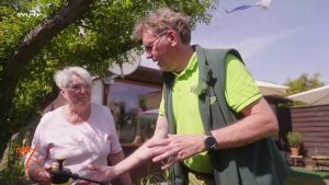 Spinnmilben an Zitrone natürlich bekämpfen