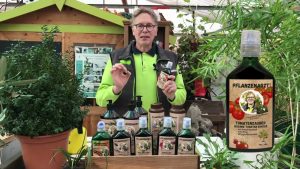 Tomatenzauber für große Früchte