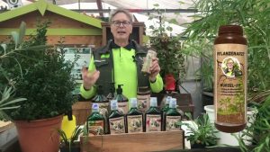 Wurzel-fit macht müde Wurzeln munter