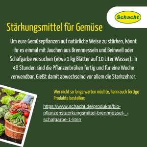 Stärkungsmittel für Gemüse
