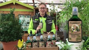 Zimmerpflanzen schützen mit Neem und Olivenkompost