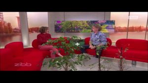 Blattläuse natürlich bekämpfen