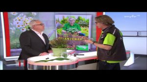 Blattläuse am Lorbeer natürlich bekämpfen