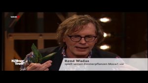 Schädlinge mit natürlichen Mitteln vertreiben