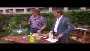 Pflanzen natürlich vor Blattläusen schützen