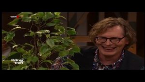 Blattverlust beim Ficus