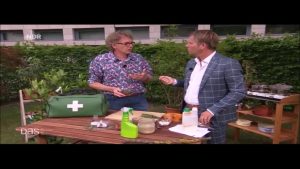 Insektenfraß an Pflanzen natürlich bekämpfen