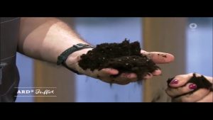 Frühjahrskur für Zimmerpflanzen – gute Erde als Basis