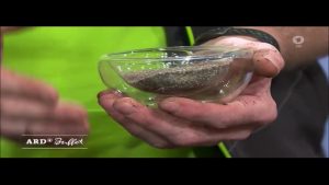 Frühjahrskur für Zimmerpflanzen – Wurzel Power zur Bildung neuer Wurzeln