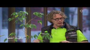 ARD-Buffet : Zimmerpflanzen – Pflege im Frühjahr