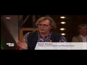 Wohlfühlen im eigenen Garten