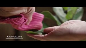 Frühjahrskur für Zimmerpflanzen