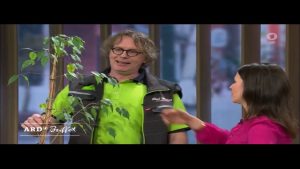 Pflanzenschutz mit Orangenöl