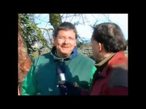 Wie schneide ich einen Apfelbaum