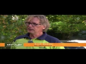 Rasenpflege nach dem heißen Sommer