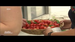 Sprechstunde im ersten Pflanzenkrankenhaus