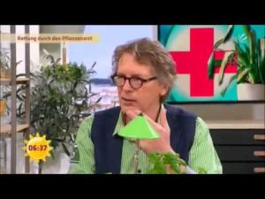 Algenkalk zur Buchsbaumrettung