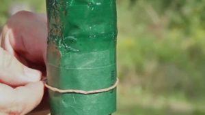 Leimringe gegen Frostspanner