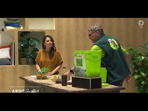 zitruspflanzen im winter düngen Purgrün Bio-Zitronenbaum-Dünger 1 Liter main image 1