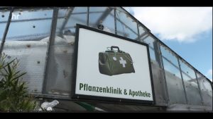 Was macht der Pflanzenarzt