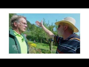 Steinobst braucht Kalzium