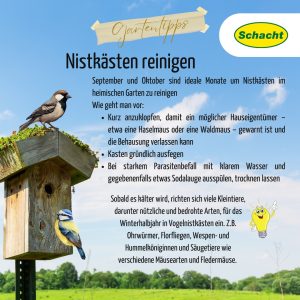 Nistkästen reinigen