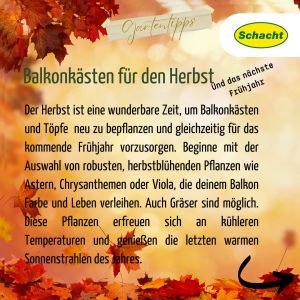 Balkonkästen für den Herbst